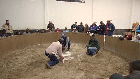 Cockfight in Mexico