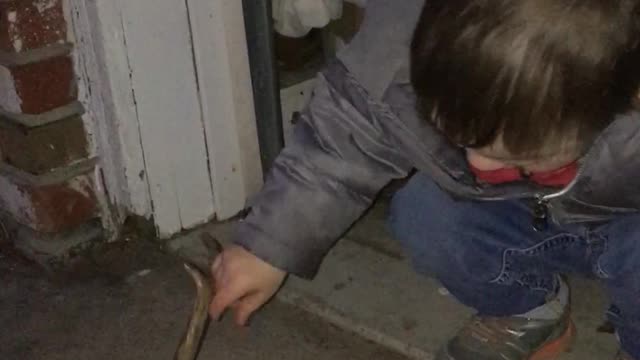 Corban - Calling in the Big Buck - 1/8/2020