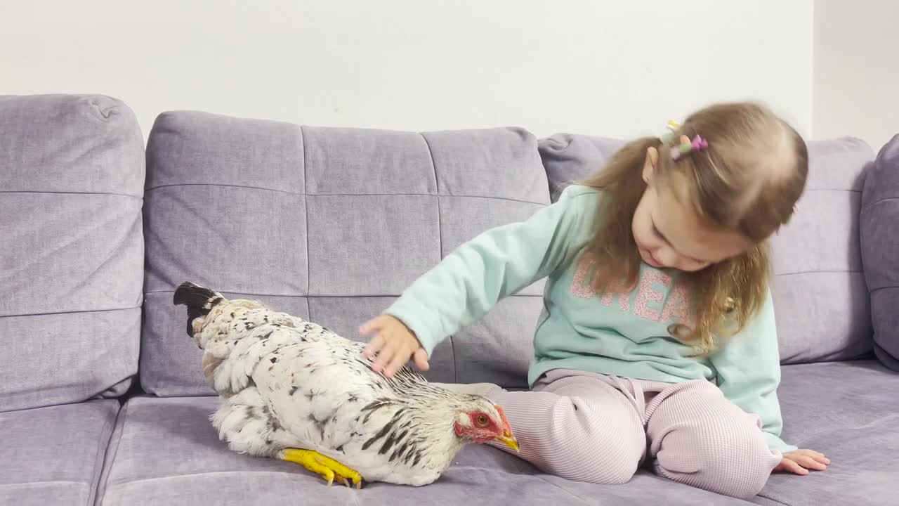 Adorable Baby Girl Meets New Chicken For The First Time! [Try Not To Laugh]