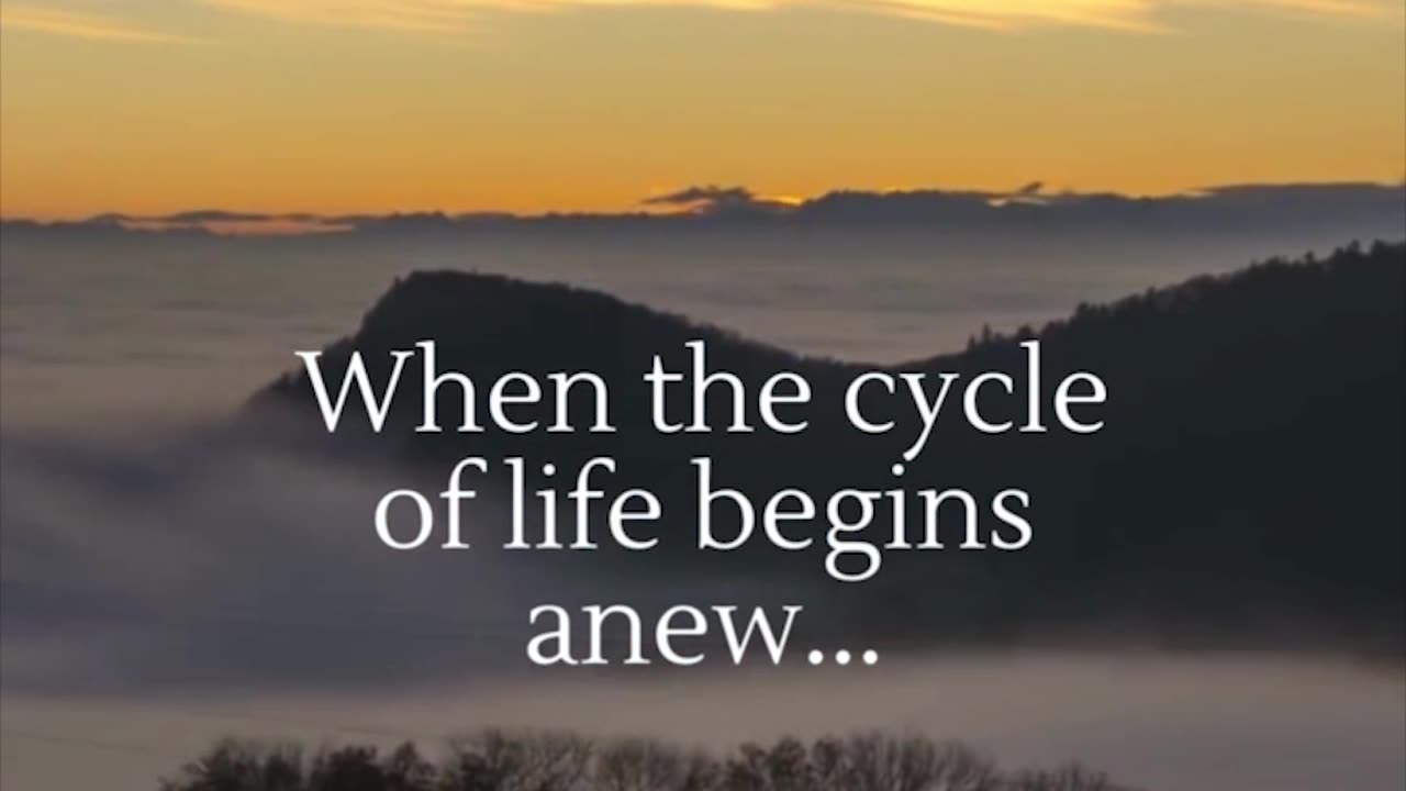 Embrace the Miracle of Sunrise #Shorts #lifefacts #subscribe