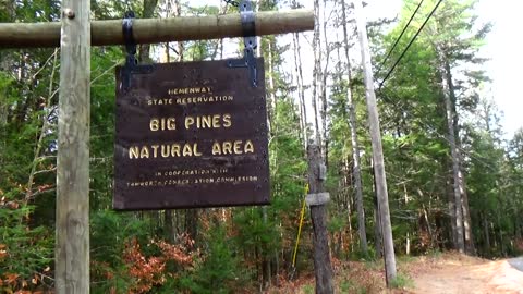 Big Pines Natural Area