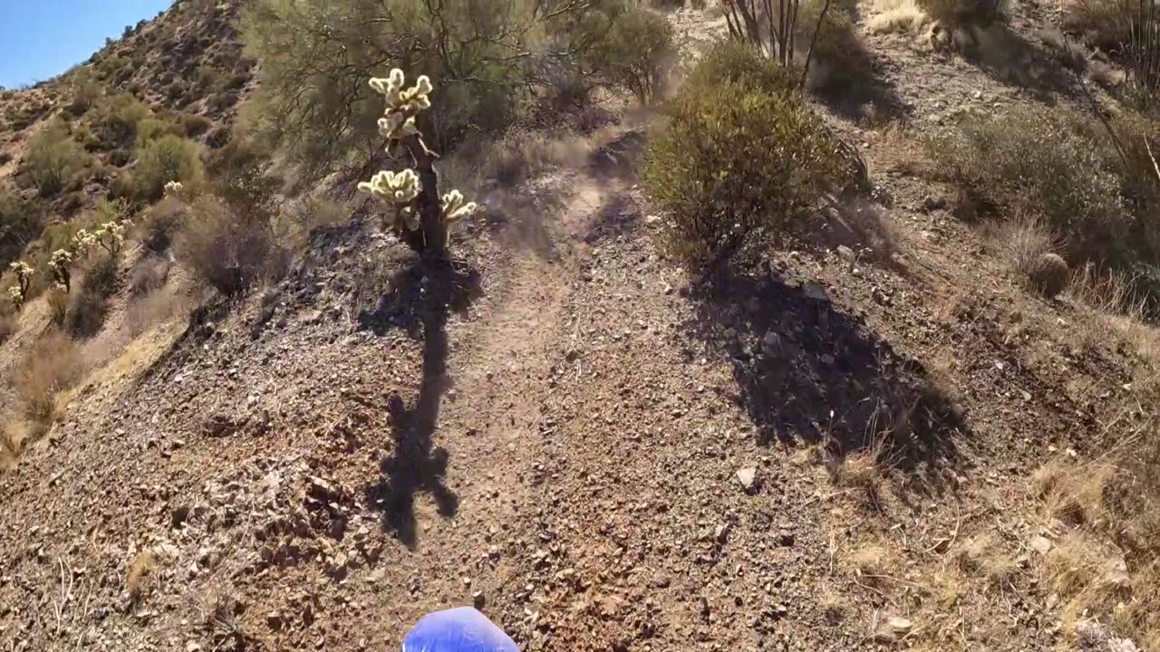 Al's Beta300 Birthday single track ride with YZ250X and the various colors of KTM's.