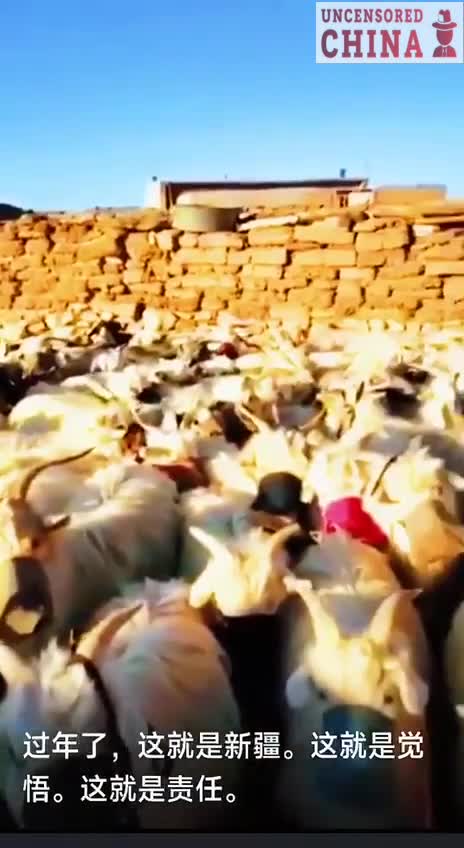 Cattle are now also mandated to wear face masks & locked up in quarantine concentration camps.