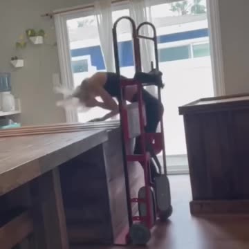 what would you do.mp4