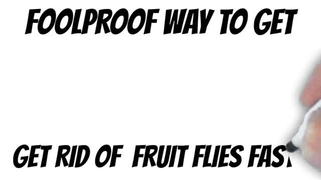 How to get rid of fruit flies in your yard! Build your own trap in under 5 minutes! Summary #Shorts