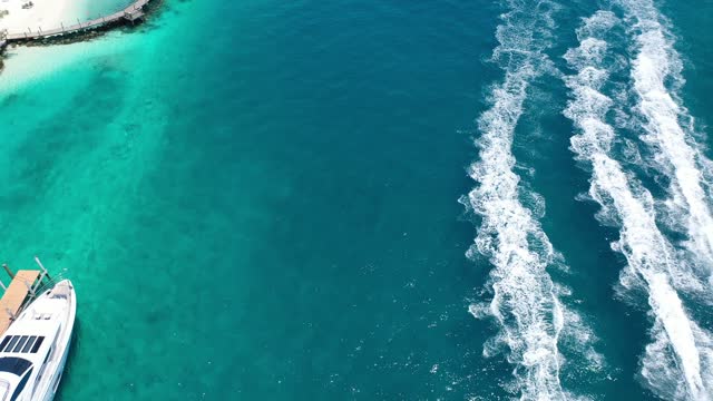 Ocean 🌊