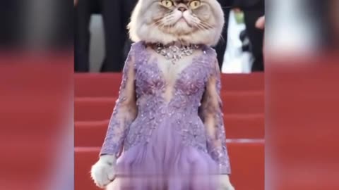 What if Cats Attended Fashion Week? 🐱✨