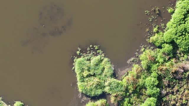 Mavic Air2s drone flight over a park with a pond in a residental area