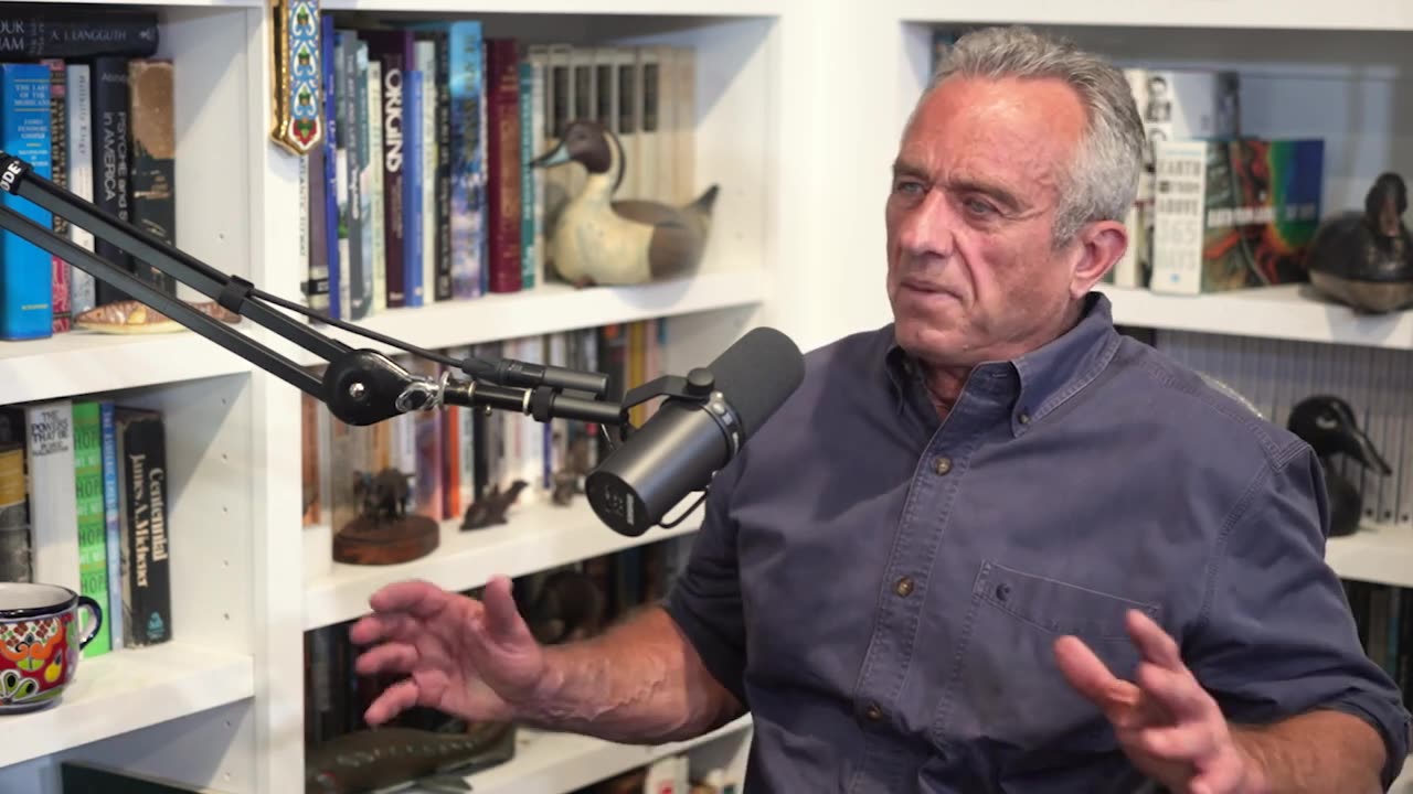 Robert F. Kennedy Jr: CIA, Power, Corruption, War, Freedom, and Meaning | Lex Fridman Podcast