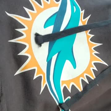 After 6 Years Miami Dolphins Finally Are Playoff Bound