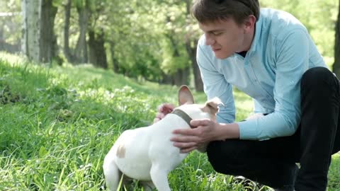 Puppy loves his master and kisses