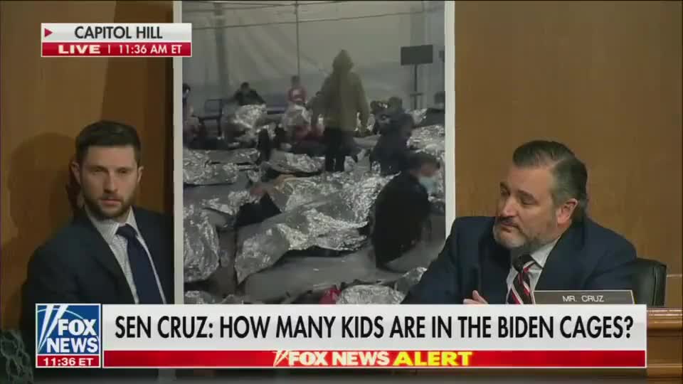 Ted Cruz Destroys DHS Chief Mayorkas