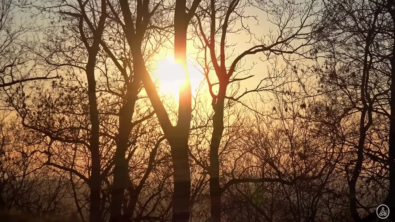 528 Hz The Love Frequency | Manifest Love - Miracle Tone | Heal Old Negative Blockages Blocking Love