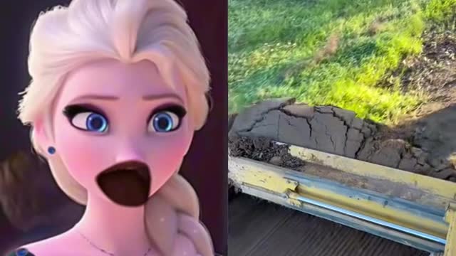 The Birds and The Bees