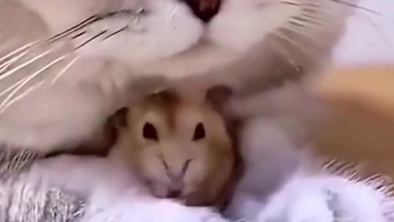 How to make a mask 😷 the one I will be there