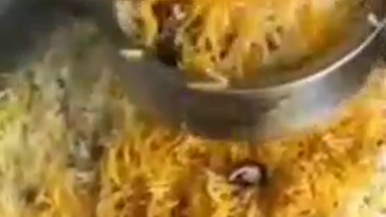 Tasty delicious spicy biryani from Hyderabad sprinkle with fried onions on it
