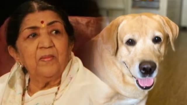 Late Lata Mangeshkar's dog, "Bitu" heart warming video of dog crying when she passed away.