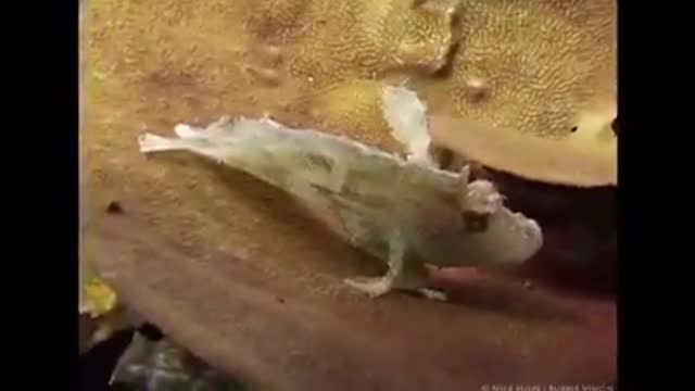 Time with God - August 11