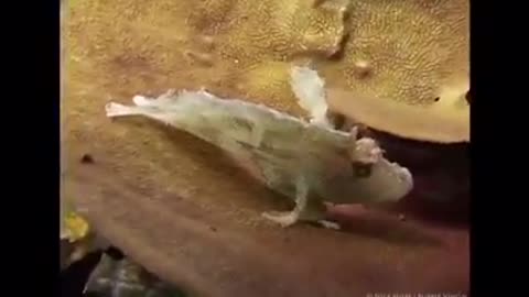 Time with God - August 11