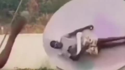 The End Funny video 🤣🤣🤣