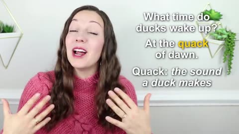top 15 jokes