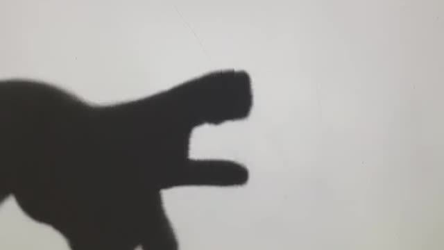 shadowace