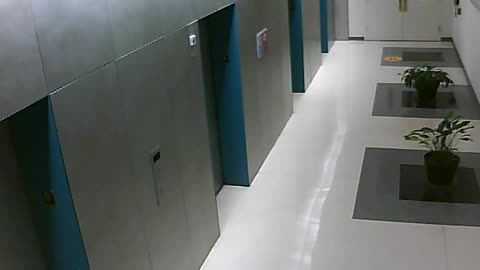3903PSQB06ElevatorLobby_2021-01-05_01h00min02s220ms.mp4