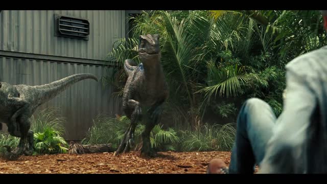 THE BEST VELOCIRAPTOR SCENE IN HD 4K #JURRASICWORLD