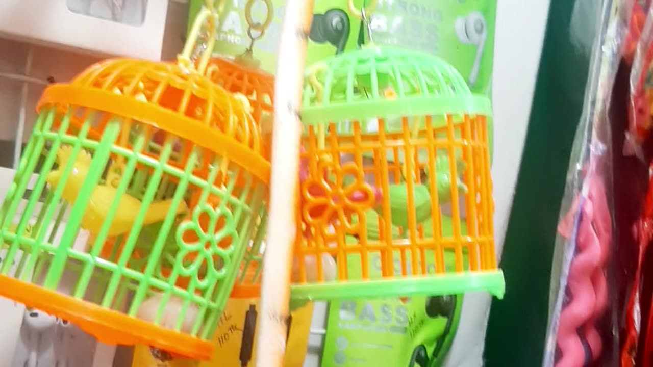 Bird in cases.