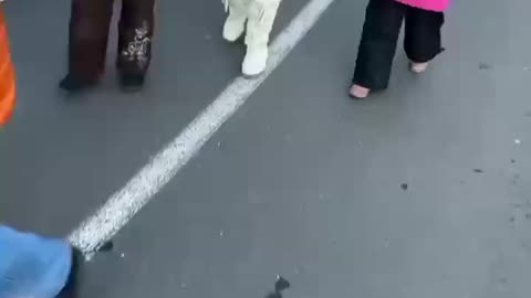 LITTLE AUSTRIAN GIRL CHANTS "FREEDOM (FREIHEIT)"