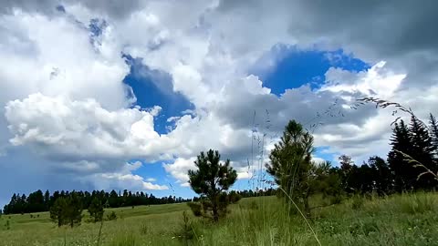 Somewhere north of Greer, Arizona