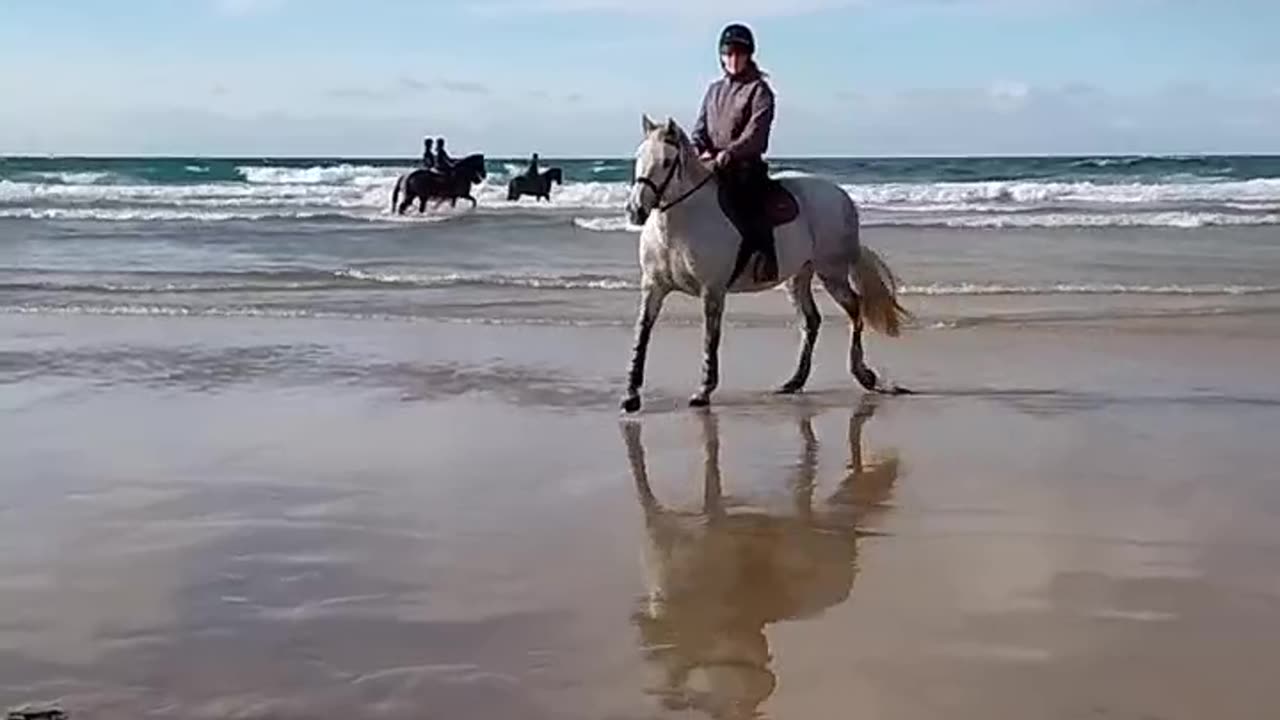 Horses on the beach Perranporth Cornwall England