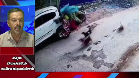 Rampage of stray dogs in Tumkur Nagar Corporation.