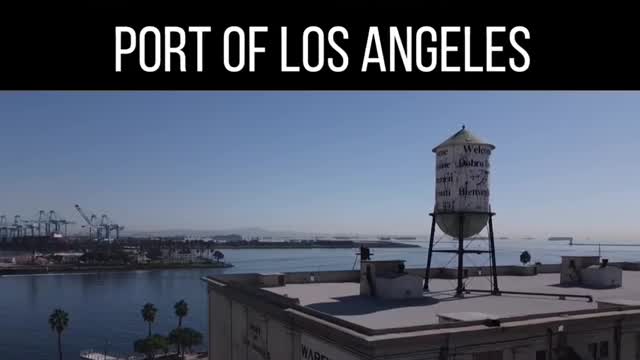 Cargo ships at the Port of Los Angeles