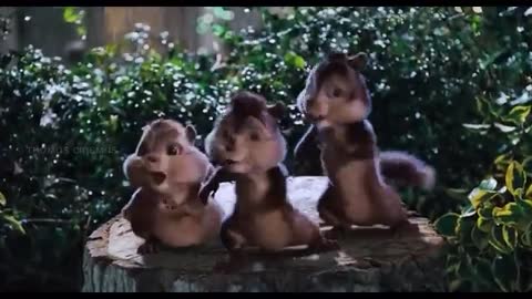 cute animals playing song