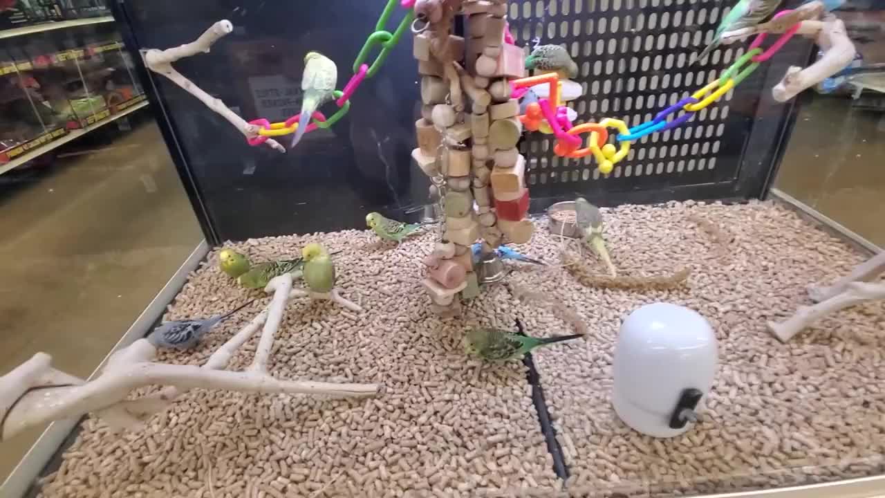EXPLORING PETSMART ! ANIMAL FRIENDS EVERYWHERE!
