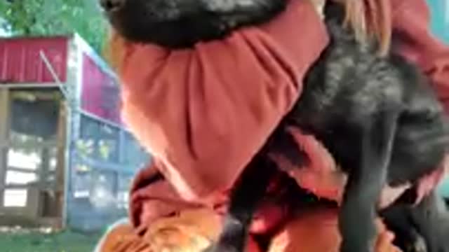 Boss Sauce Esmae Fox