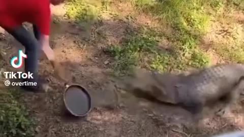 Was that a cheese grater sword.mp4
