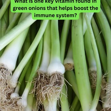 How Much Do You Know About Green Onions? 🧅💡
