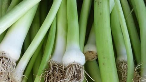 How Much Do You Know About Green Onions? 🧅💡