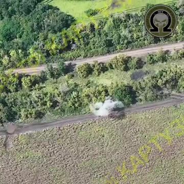 Patalahivka_15.08.2023