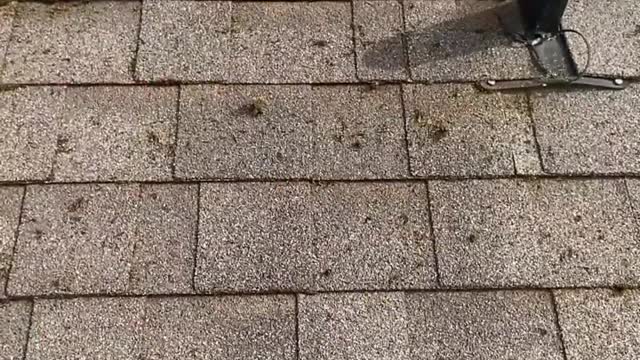 Removing Moss From Crevices Of A Roof _ Deep Cleaned _ Insider