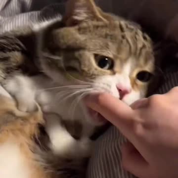 Catch my finger if you can