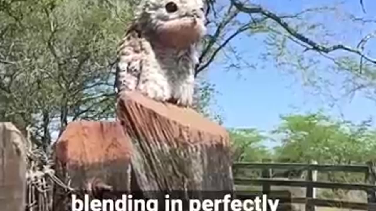 How Cool ?!