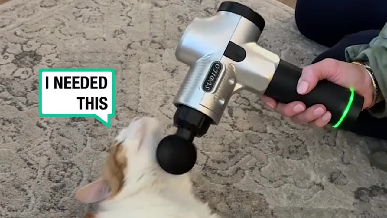 Thats purrrfect 💆♂️
