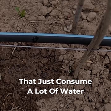 🌍 Reviving Earth: Sustainable Soil Solutions 🌱