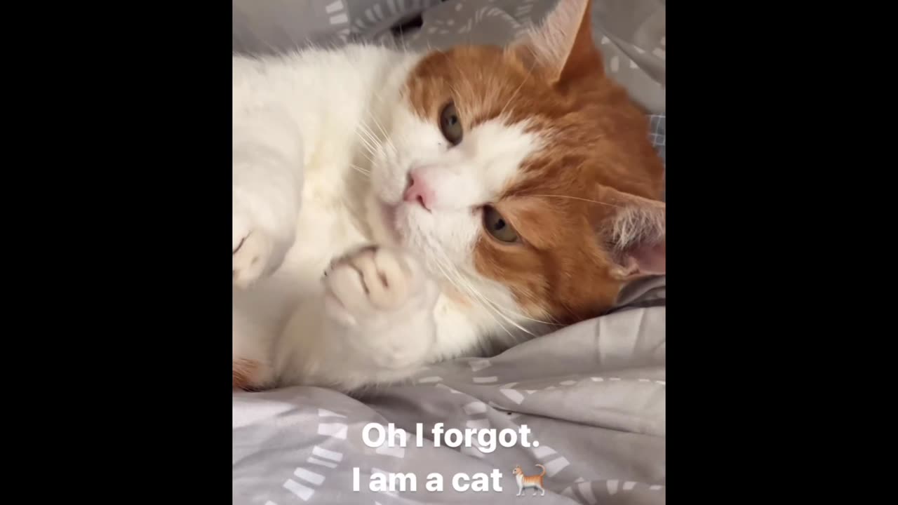 Oh no🙀