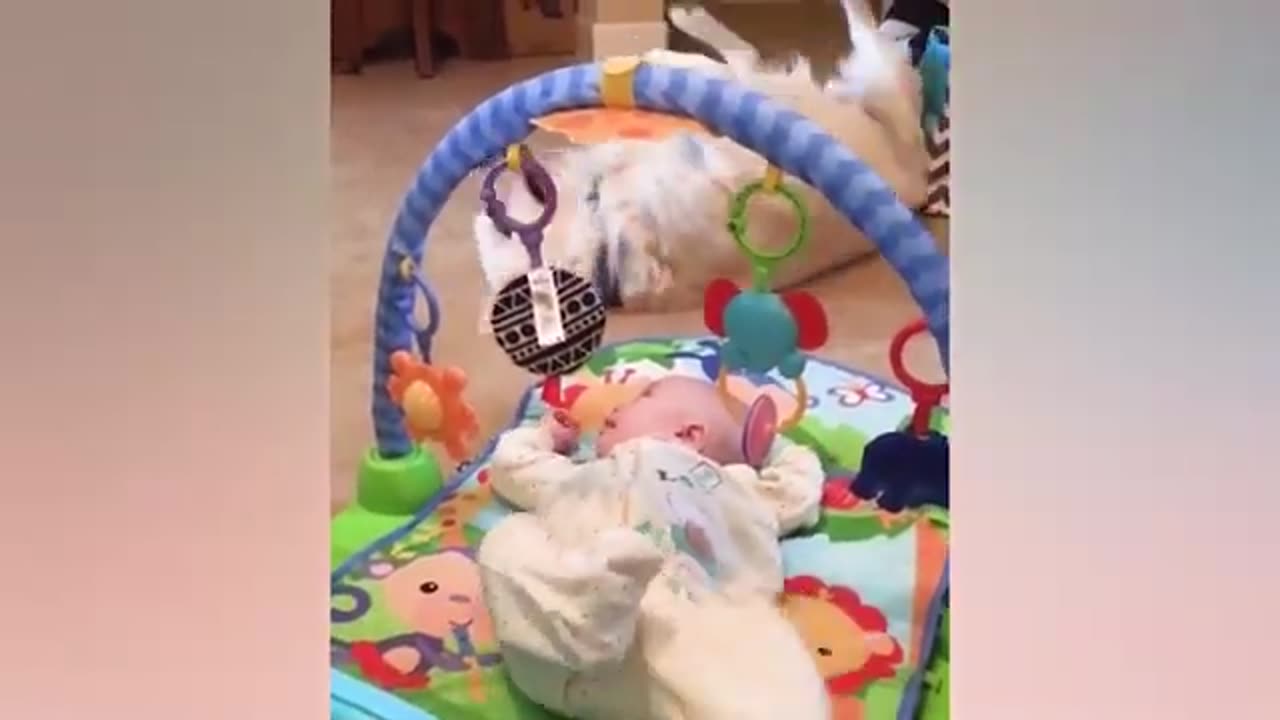 Best Videos Of Funniest Baby And Pets