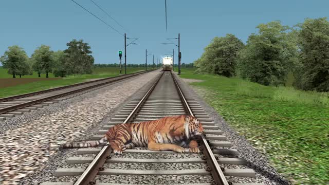 Tiger & monkey on track vs Train and stops the train - Train Simulator_Cut