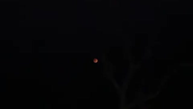 Red Moon